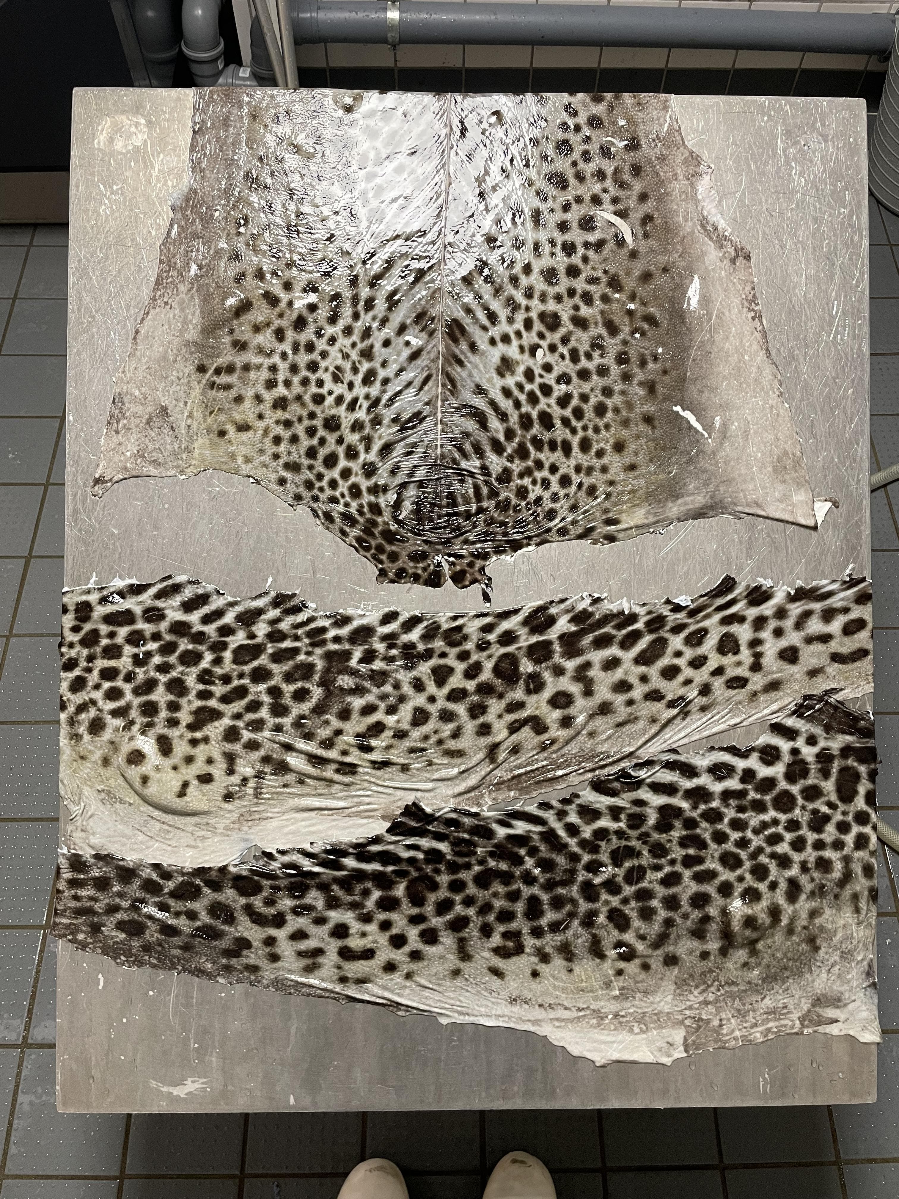 Selected work by Soam, photograph 9